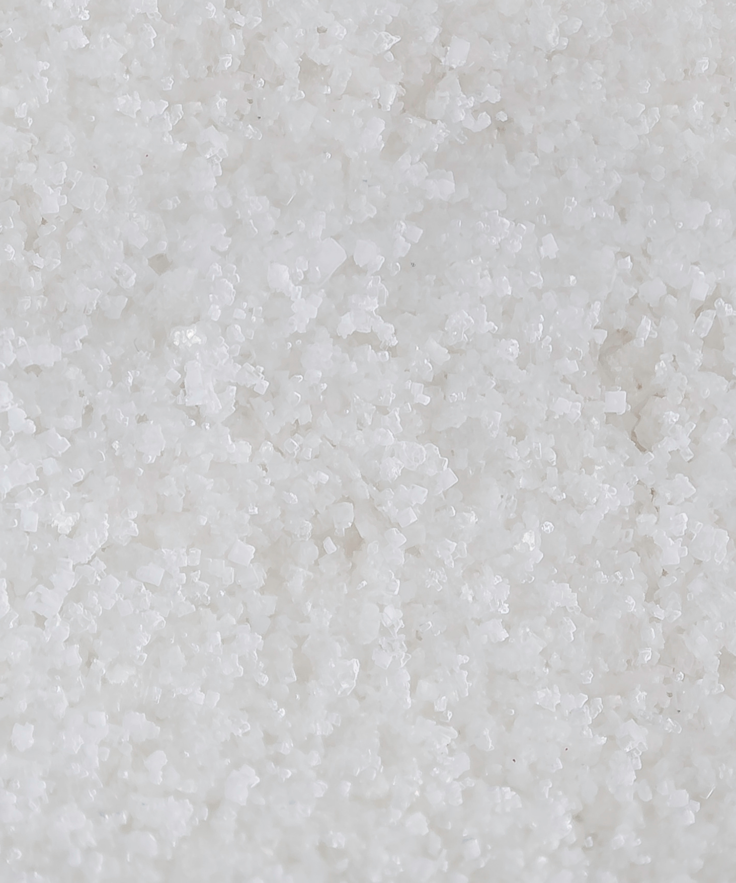 Dead Sea Salt-LA Salt Co.