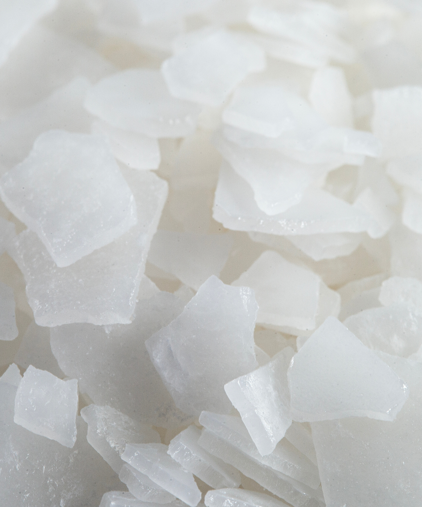 Deep Sea Minerals Magnesium Flakes-LA Salt Co.