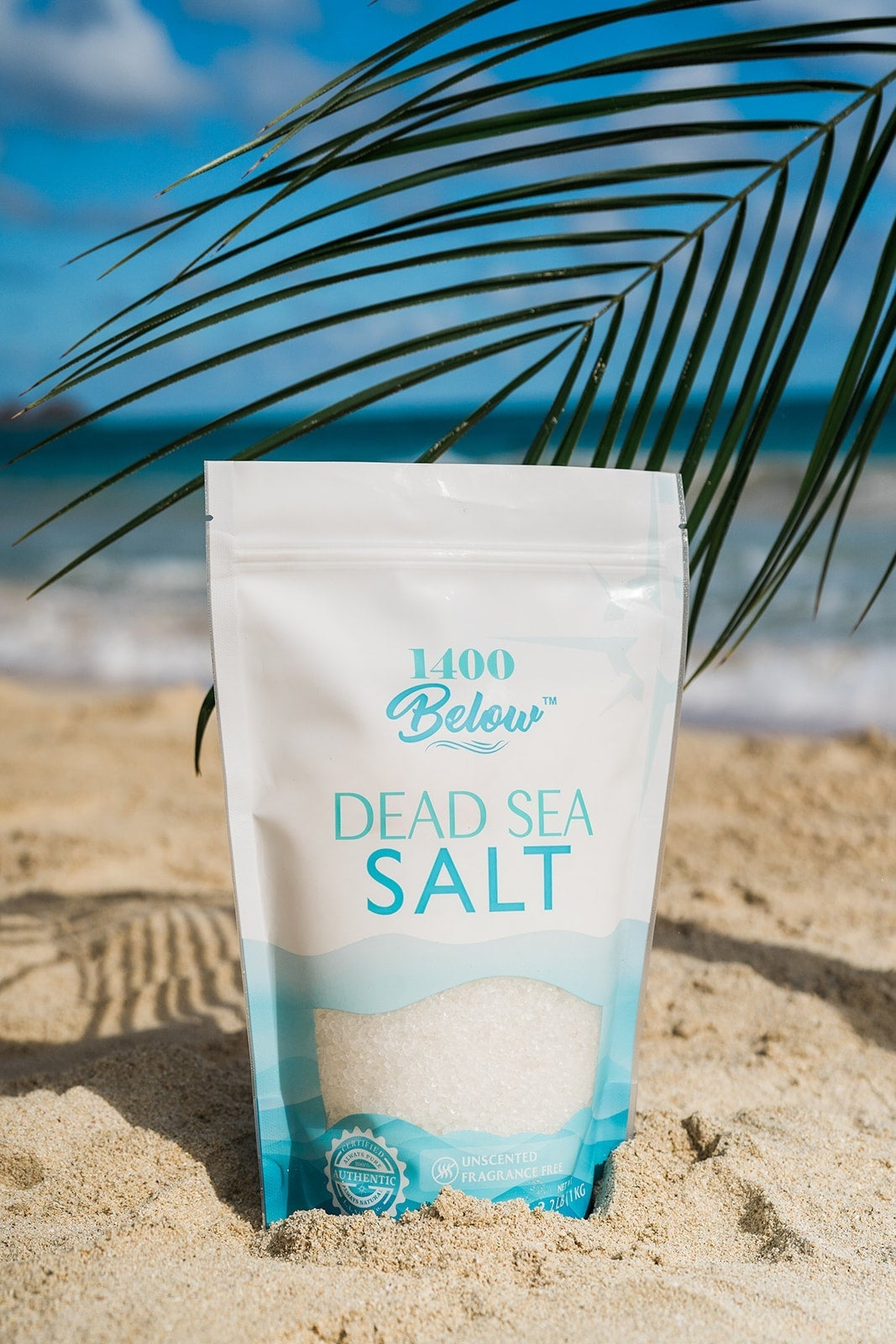 Dead Sea Salt-LA Salt Co.