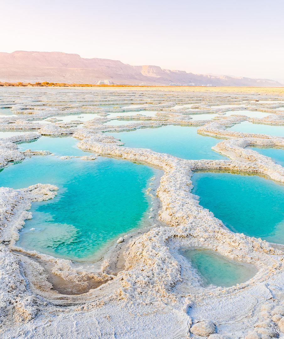 The Dead Sea