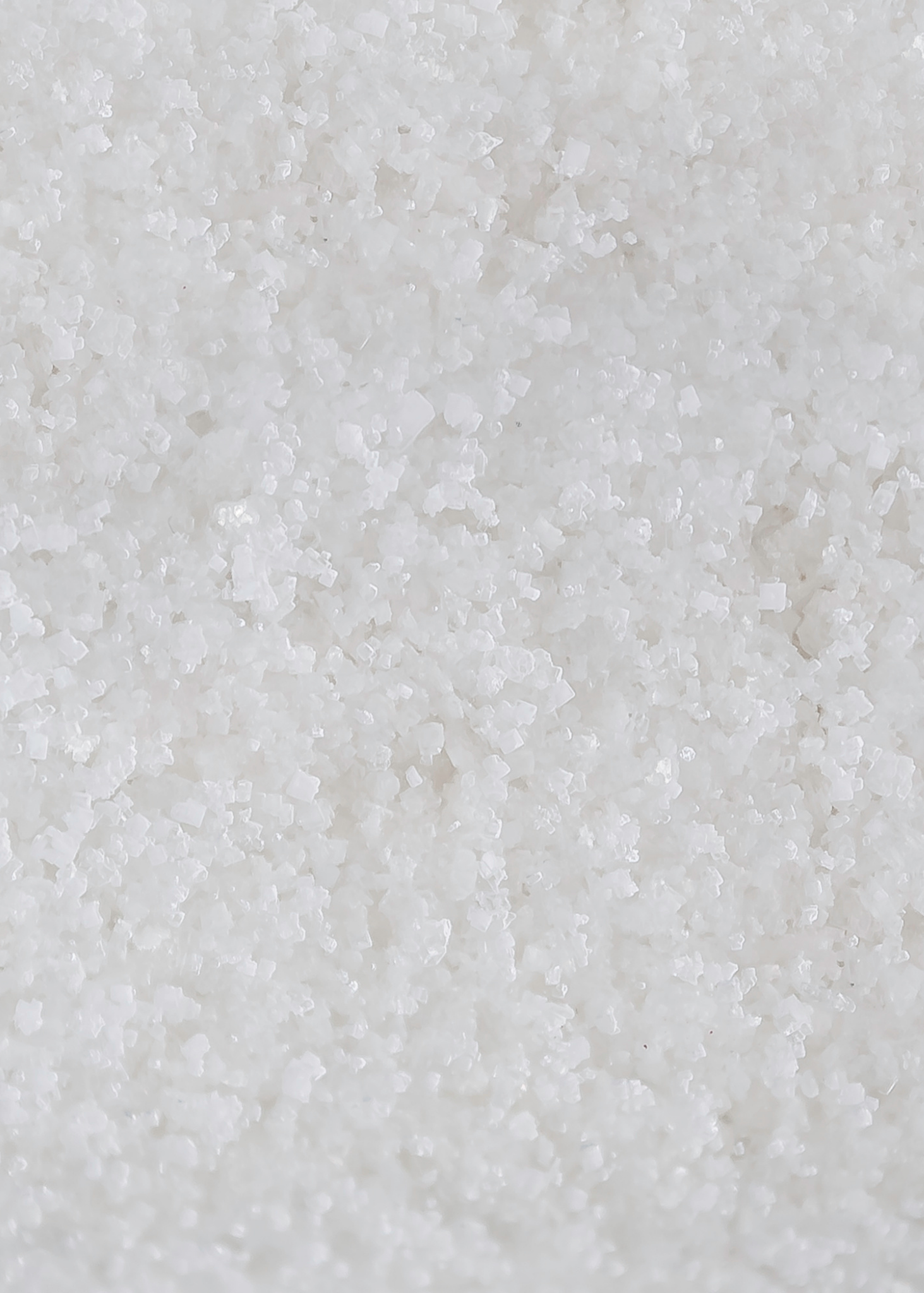 Dead Sea Salt (55 LB)