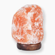 Himalayan Pink Salt Lamp-Lamp-LA SALT CO-15-20 LB-LA Salt Co.