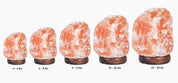 Himalayan Pink Salt Lamp-Lamp-LA SALT CO-4-6 LB-LA Salt Co.