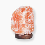 Himalayan Pink Salt Lamp-Lamp-LA SALT CO-9-13 LB-LA Salt Co.