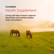 Kashmir Pink® Compressed Himalayan Salt Animal Lick-Salt-LA SALT CO-LA Salt Co.