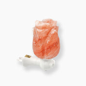 Rose Shape Himalayan Salt Night Light-LA SALT CO-Rose-LA Salt Co.