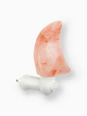 Natural Shape Himalayan Salt Night Light