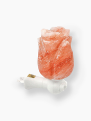 Natural Shape Himalayan Salt Night Light