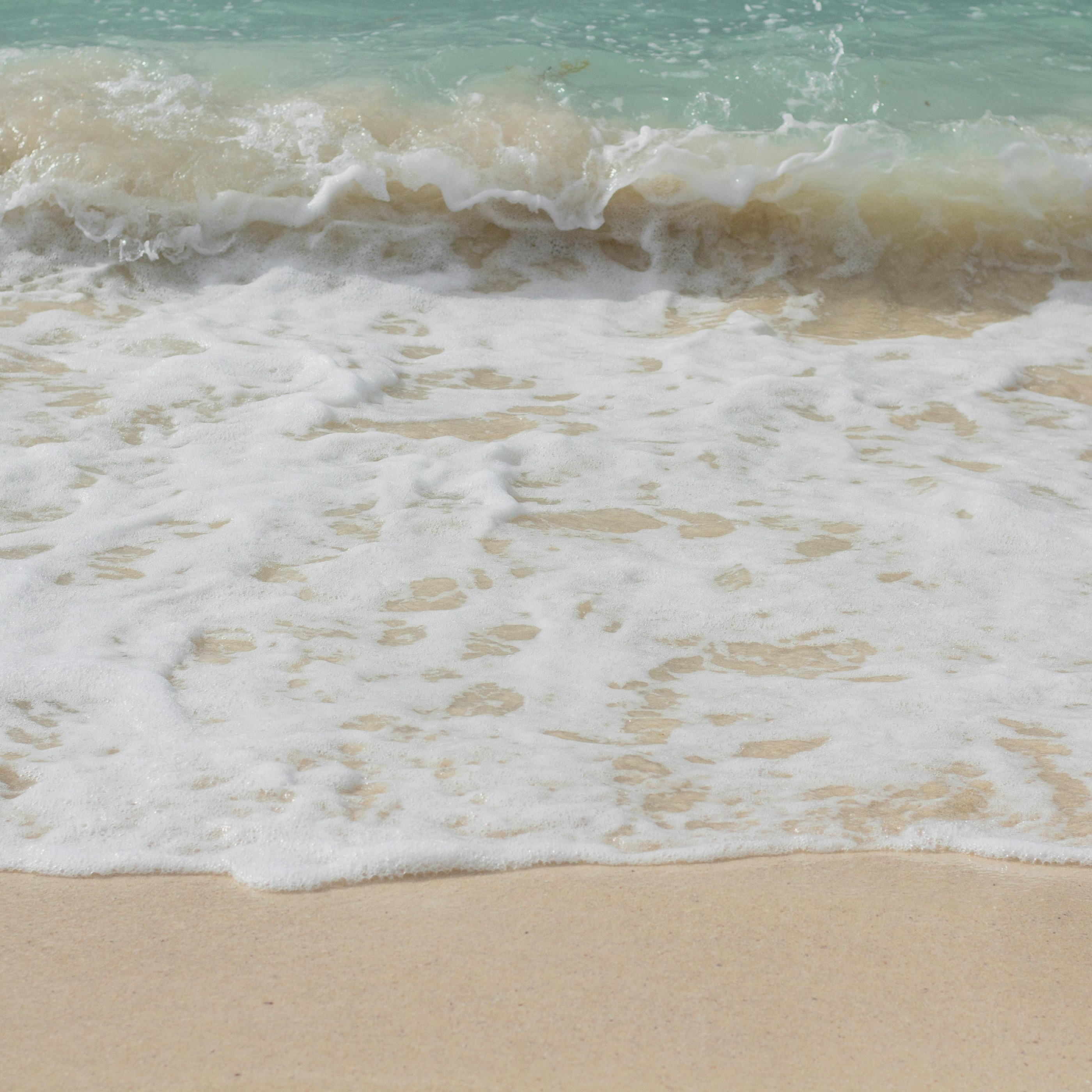 Untitled_design_-_2026-05-04T232247.052.png